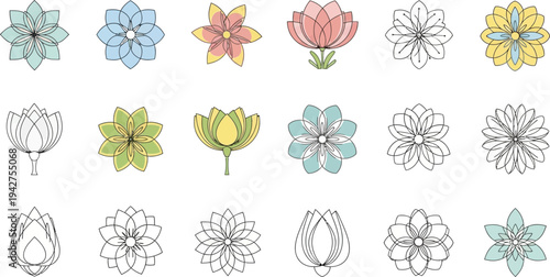 Colorful flower in various styles and line flowers tulips lotus