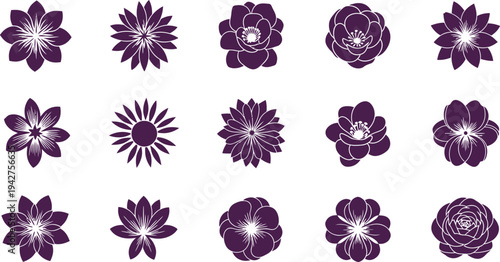 Purple flower with white highlights flowers floral patterns