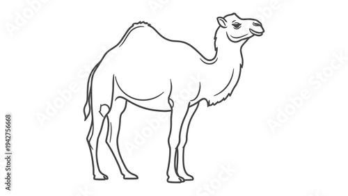 Desert Explorer: A solitary camel stands proudly, a silhouette against a vast desert backdrop, epitomizing resilience and adaptation in the harsh landscape. 