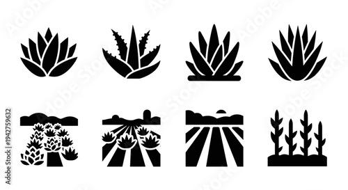 Silhouette cactus and desert icon set for nature and landscape design