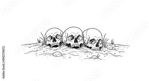 Three skulls resting on earth: detailed monochrome art with intricate line  work