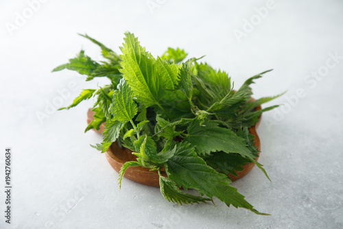 Wild ground elder on a desk