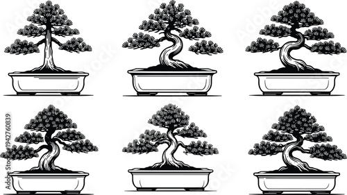 Collection of black bonsai tree silhouettes in ceramic pots featuring various traditional Japanese aesthetic shapes and curved trunks isolated on a white background vector.