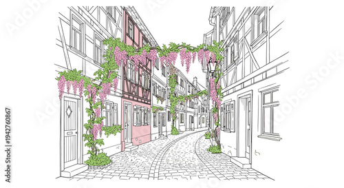 Charming european street with historic half-timbered houses and wisteria