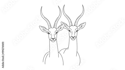 Gazelle Duo: An elegant illustration showcases two gazelles with majestic horns, their gazes forward, embodying grace and serenity. 