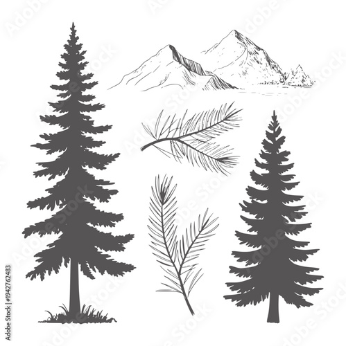 Black and white silhouette of pine trees and mountain range with pine branches