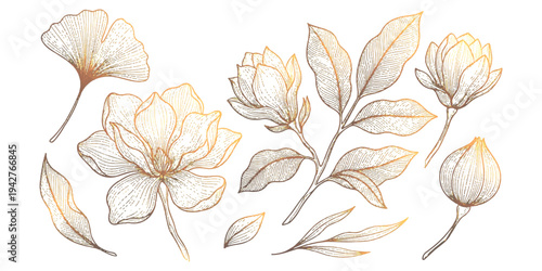 A collection of hand-drawn golden magnolia flowers and ginkgo leaves on a white background