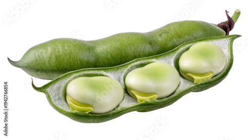 Photography Isolated broad bean, pod and seed, healthy food, nutrition, vegan ingredient, pl