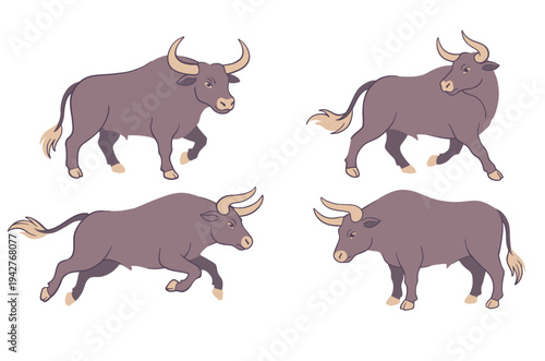 Bull Vector Set with Walking and Running Poses