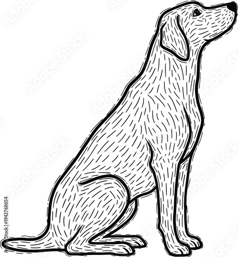 A sitting dog looking upwards in a black and white illustration
