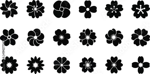 Black and white floral on white background flowers shapes