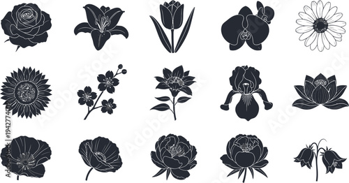 Black and white floral on white background flowers silhouettes 1