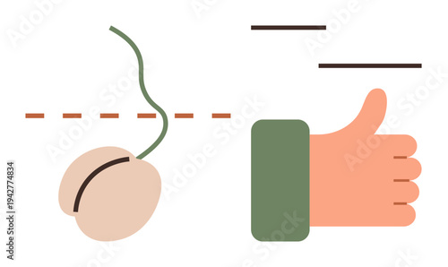 Male sterilization, contraception, family planning, reproductive health, mens health, surgical procedure. Sperm illustration with a cut line and a thumbs-up gesture. Family planning and contraception