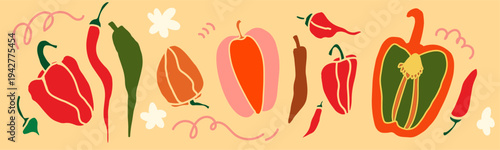 Horizontal vegetable border with peppers. Modern flat vector illustration for packaging, menu design, banners and kitchen themed layouts.