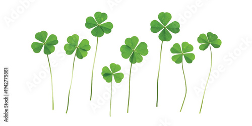 A collection of seven vibrant green four-leaf clovers isolated on a clean white background, symbolizing luck and fortune