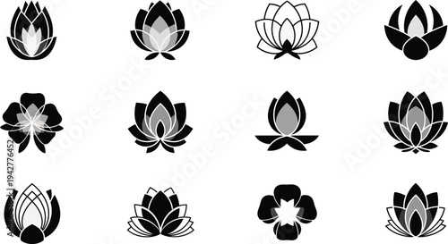 Black and white lotus flower gray