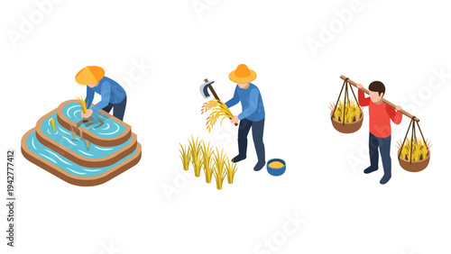 Isometric farming scene with farmers harvesting rice in traditional asian style