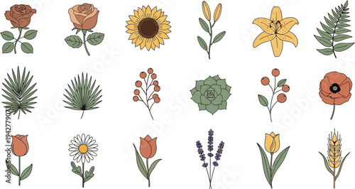 Various colorful flowers and plants on white background leaves botanical
