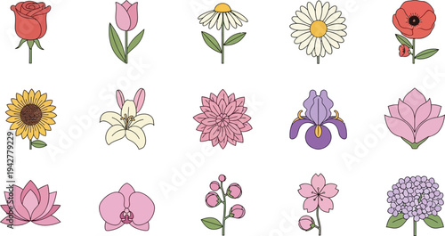 Various colorful flowers on white background rose