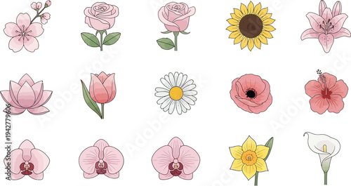 Various flowers set pink yellow white sunflowers