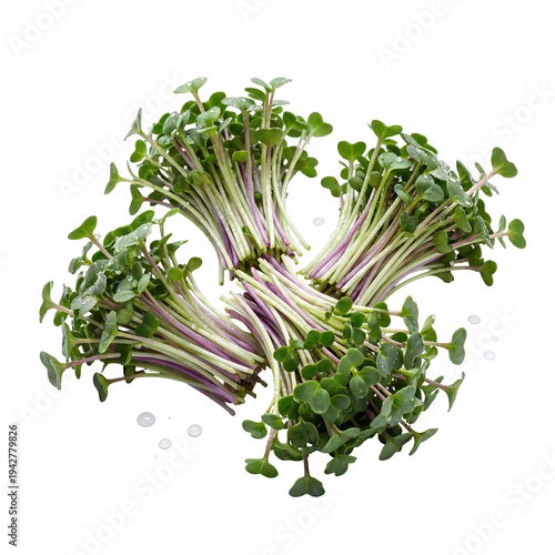 Nutrient-rich fresh radish microgreens with vibrant green leaves and purple stems, isolated for healthy culinary creations
