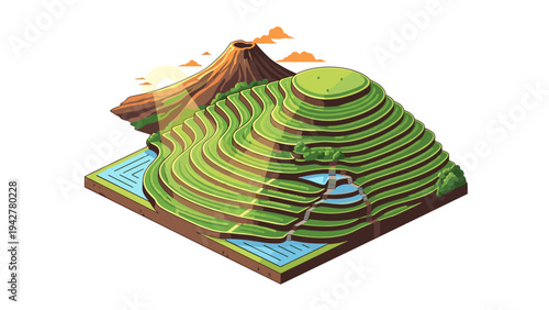 Isometric rice terraces with volcanic mountain and water paddies