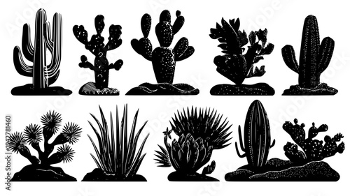 Cacti arrangement collection featuring various desert shapes, set of vectors