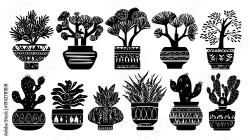 Desert plant family with thick foliage and ceramic pots, vectorized collection