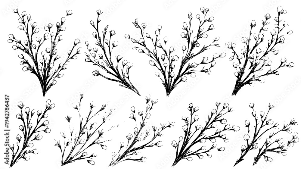 Fototapeta premium Edge decoration bundle showcasing tiny vines and buds, vector art set