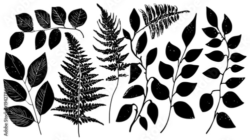 Exotic leaf collection featuring fern patterns and vines, set of vectors