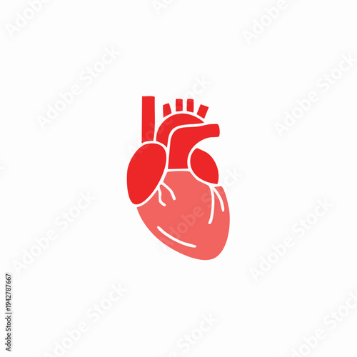 Simplified Red Heart Anatomical Illustration for Medical Concepts