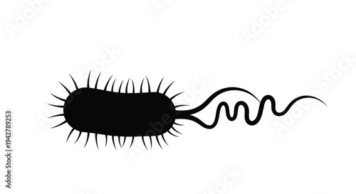 A simple black and white illustration of a bacterium with a flagellum