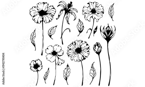 Hand Drawn Doodle Elements Collection Vector Illustration