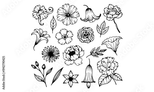 Black Ink Hand Drawn Sketch Doodle Set