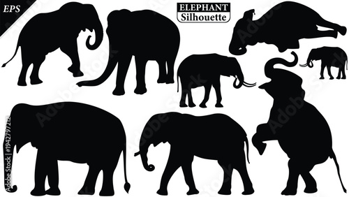 Elephant Silhouette icon. Simple vector illustration, Side view black big asian elephant silhouette vector illustration design on white and black background, Walking big elephant strong power, sign	