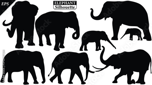 Elephant Silhouette icon. Simple vector illustration, Side view black big asian elephant silhouette vector illustration design on white and black background, Walking big elephant strong power, sign	