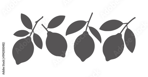 Four dark grey lemon silhouettes branches with leaves fruit leaf