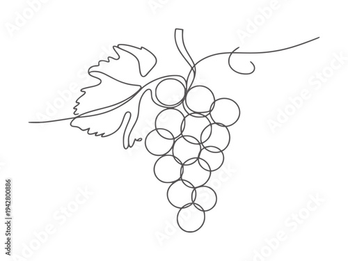 Minimalist single line of a grape cluster with a leaf vine fruit