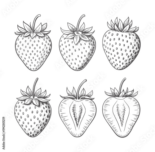 Six black and white line of whole and halved strawberries strawberry fruit food