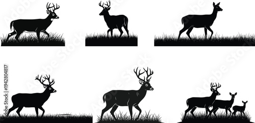 Deer silhouette set in grass, wild stag and doe nature vector collection