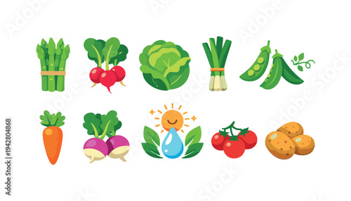 Healthy fresh vegetables and produce on a white background