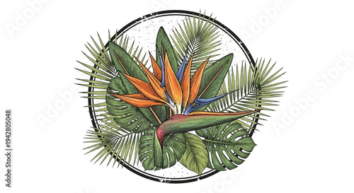 Bird of Paradise flower with tropical leaves in a circular frame, illustration