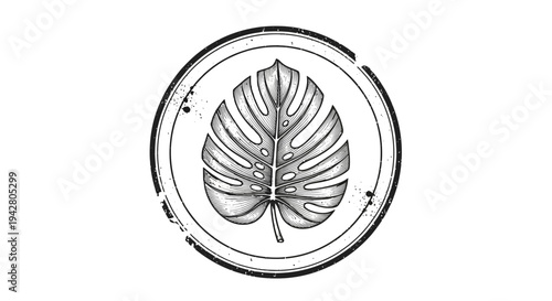 Monstera leaf stamp emblem, vintage botanical illustration