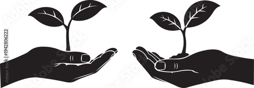 Hands holding small plants with leaves growing upwards together