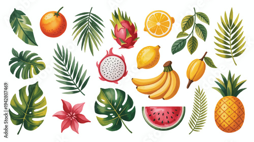 “Tropical Fruits Flat Lay Illustration on White Background”