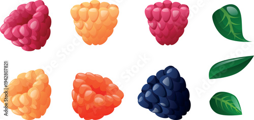 set of raspberry images isolated on a white background. Red, yellow, and blue raspberries, as well as blackberries with green leaves. Colorful, fresh, and juicy berries. Fruit icon. Sweet, healthy
