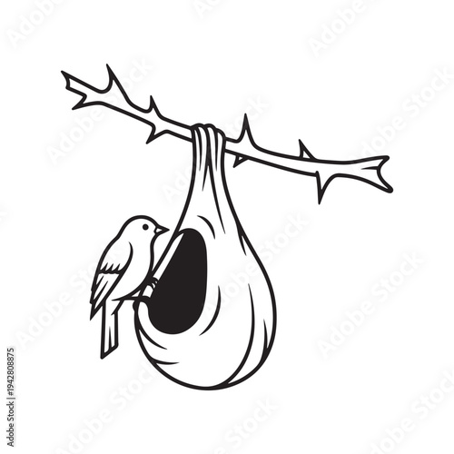 A bird perched beside its nest hanging from a thorny branch, a serene scene.