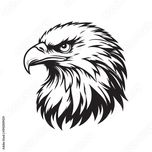 A detailed black and white illustration of an eagle's head, showcasing sharp features.