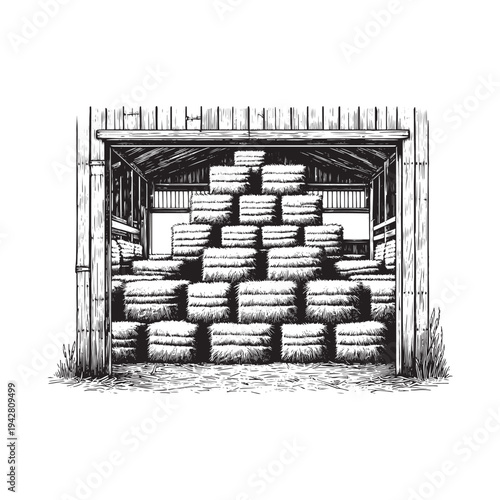 A rustic wooden shed storing numerous barrels in a rural setting.