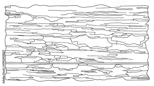 Natural wood grain texture pattern, hand drawn line art vector, rustic timber board or wooden plank background